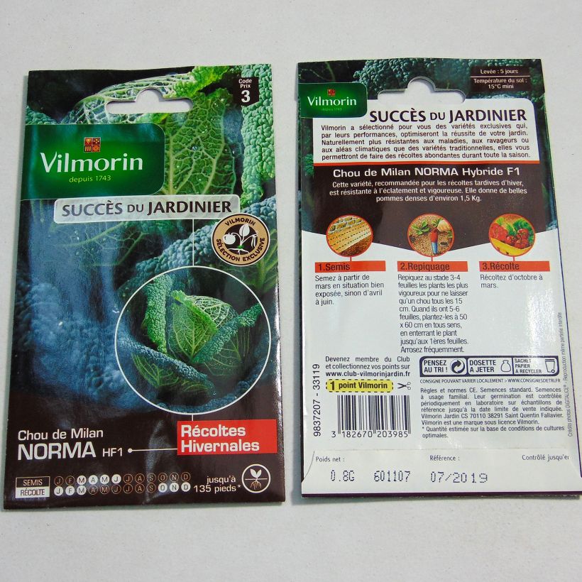 Exemple de spécimen de Chou de Milan Norma F1 - Vilmorin Graines tel que livré