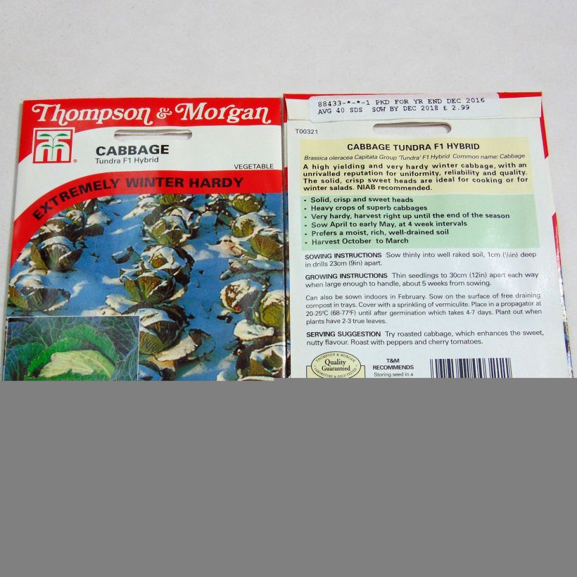 Exemple de spécimen de Chou de Milan Tundra F1 le sachet de 40 graines environ tel que livré