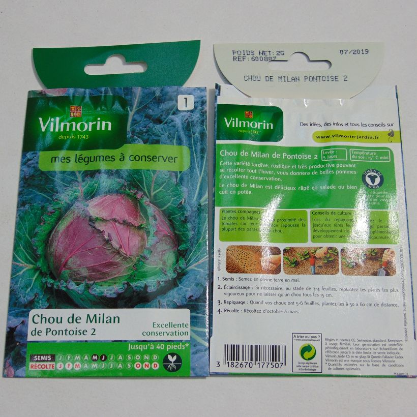 Exemple de spécimen de Chou de Milan de Pontoise - Vilmorin le sachet de 1200 graines environ (2g) tel que livré