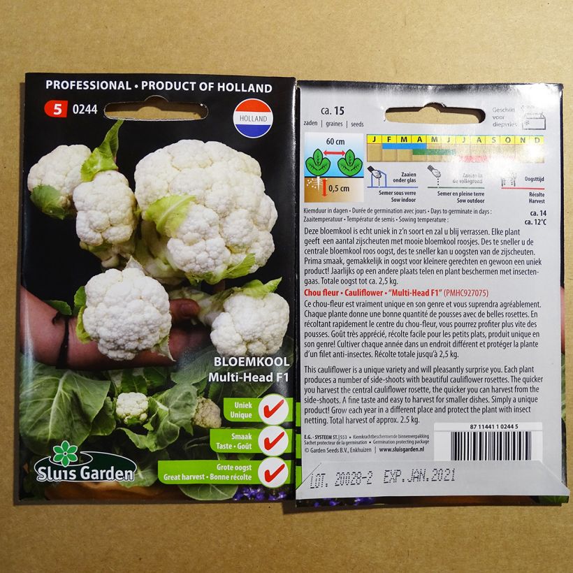 Example of Chou-fleur Multi-head F1 le sachet de 15 graines environ as you get