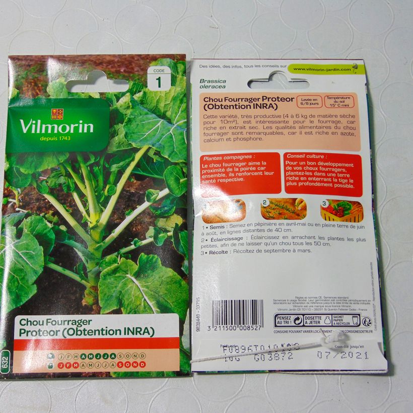 Exemple de spécimen de Chou fourrager Protéor (Obtention INRA) - Vilmorin le sachet de 4000 graines environ (10g) tel que livré