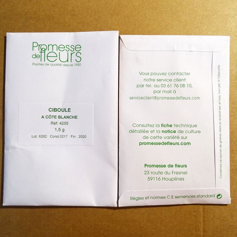 Exemple de spécimen de Ciboule à côte blanche - Allium fistulosum le sachet de 720 graines environ (1.5g) tel que livré