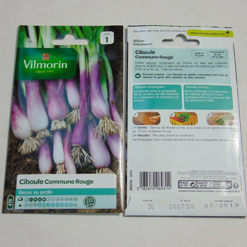 Exemple de spécimen de Ciboule commune rouge - Vilmorin le sachet de 1400 graines environ (3g) tel que livré