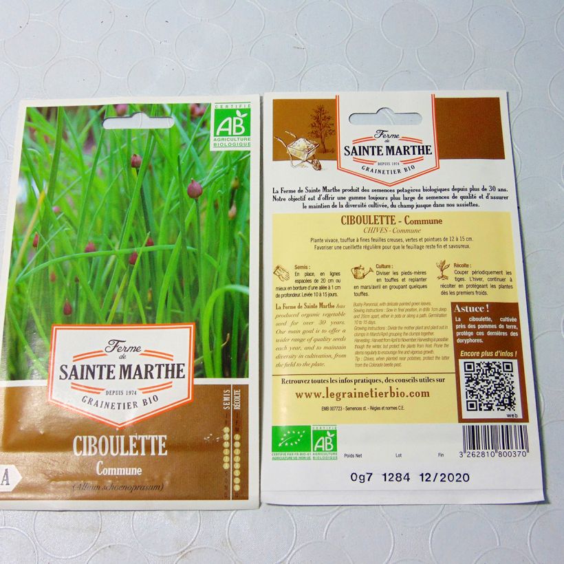 Exemple de spécimen de Ciboulette commune Bio - Ferme de Sainte Marthe le sachet de 600 graines environ tel que livré