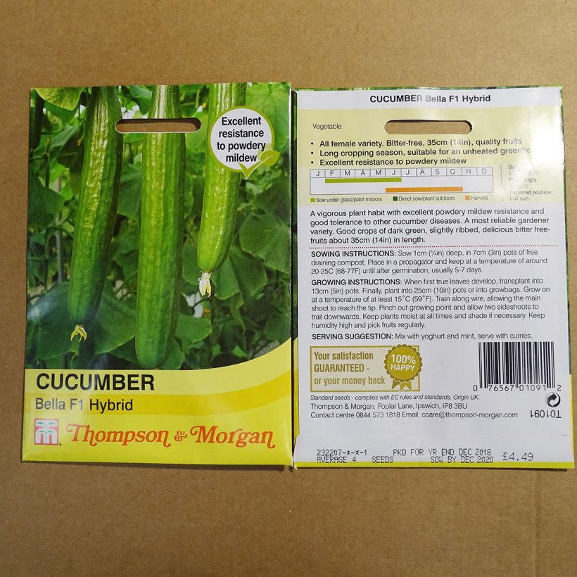 Exemple de spécimen de Concombre Bella F1 - Cucumis sativus le sachet de 4 graines environ tel que livré