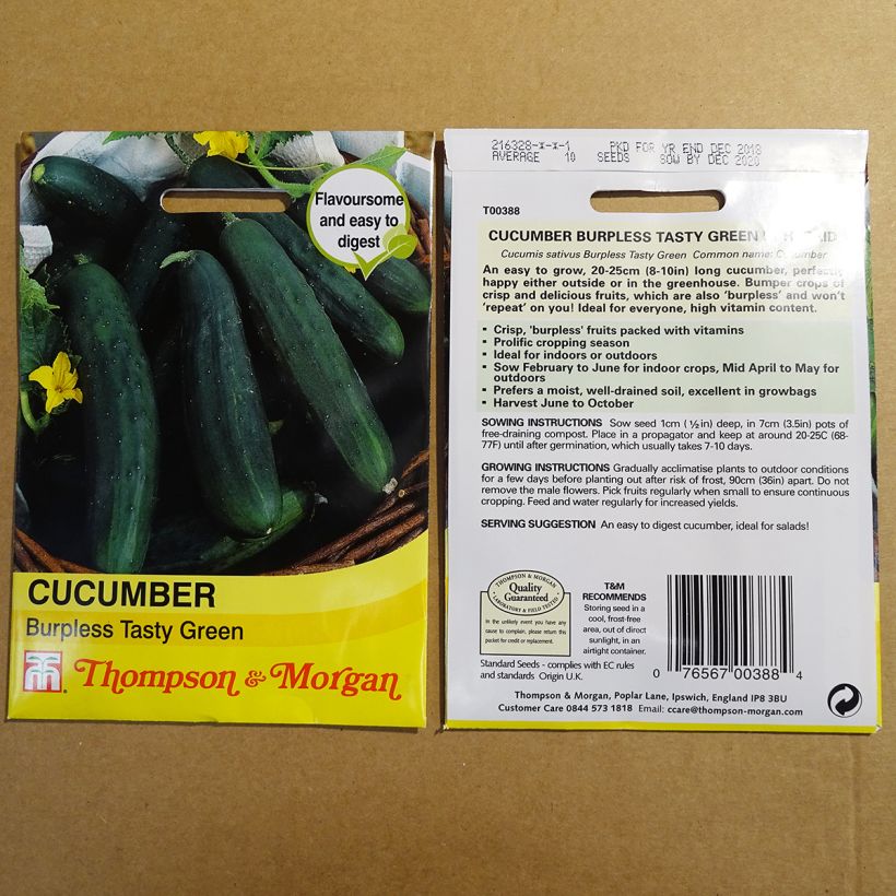 Exemple de spécimen de Concombre Burpless Tasty Green - Cucumis sativus le sachet de 10 graines environ tel que livré