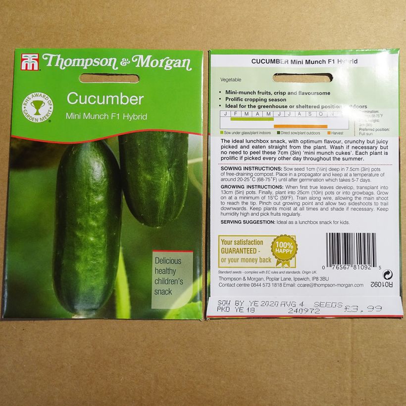 Exemple de spécimen de Concombre Mini Munch - Cucumis sativus le sachet de 4 graines environ tel que livré