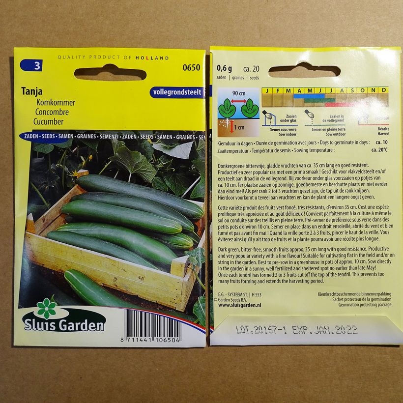 Exemple de spécimen de Concombre Tanja - Cucumis sativus le sachet de 20 graines environ tel que livré