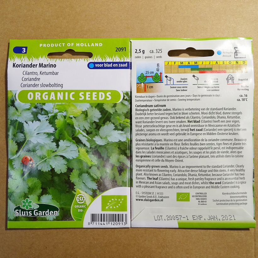 Exemple de spécimen de Coriandre Marino Bio le sachet de 325 graines environ (2g) tel que livré