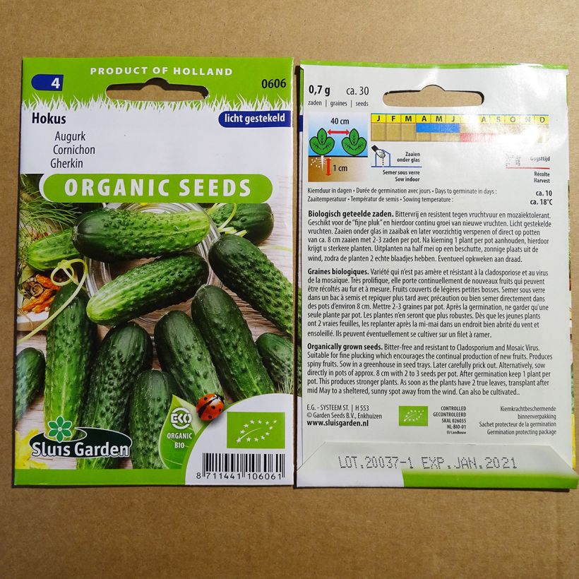 Exemple de spécimen de Cornichon Hokus Bio le sachet de 30 graines environ (1g) tel que livré