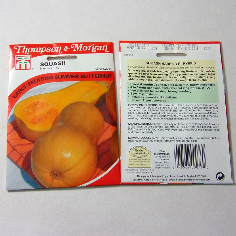 Exemple de spécimen de Courge Butternut Harrier F1  le sachet de 10 graines environ tel que livré