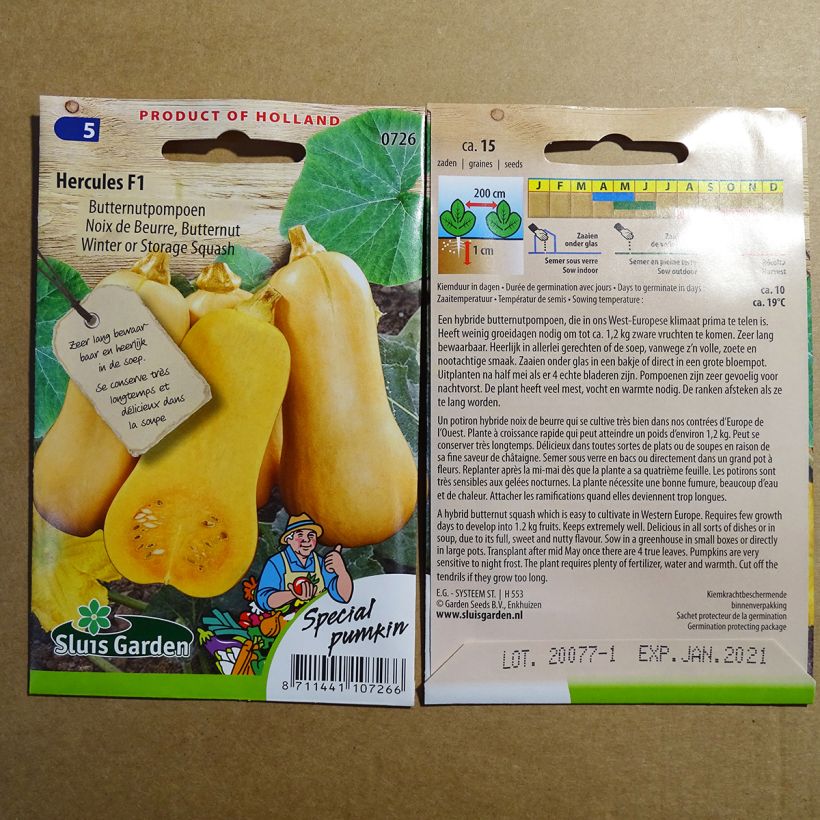 Example of Courge Butternut Hercules F1 le sachet de 15 graines environ (5g) as you get