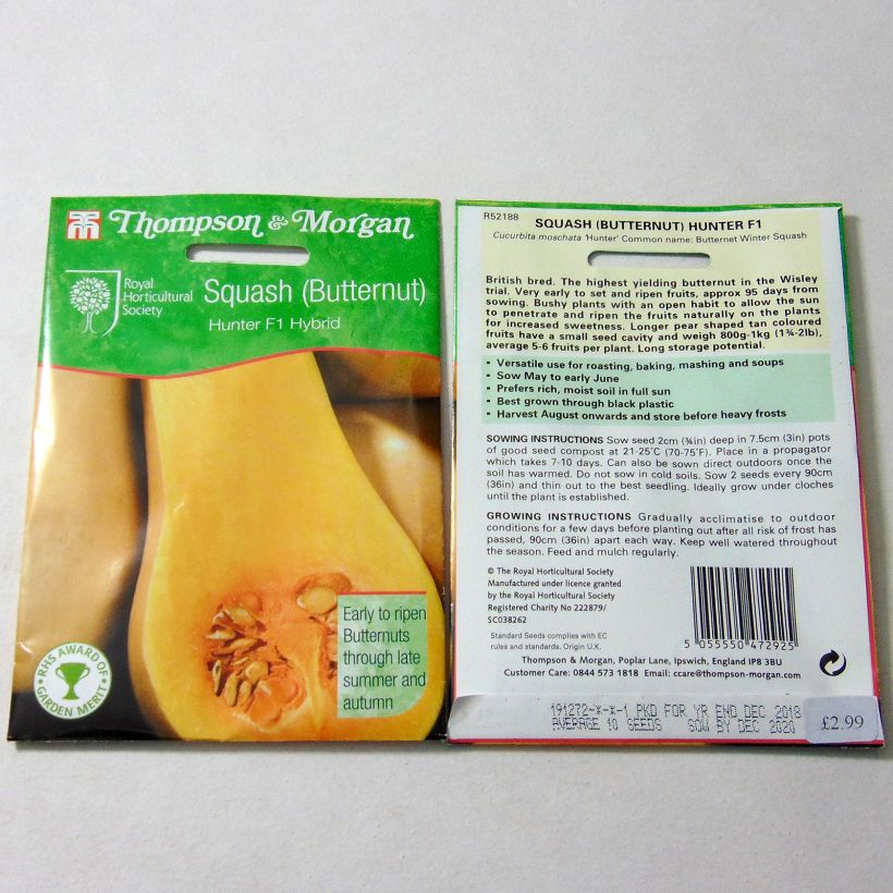 Exemple de spécimen de Courge Butternut Hunter F1 le sachet de 12 graines environ tel que livré