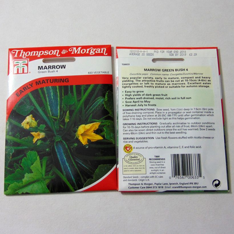 Exemple de spécimen de Courge Green Bush 4  le sachet de 25 graines environ tel que livré