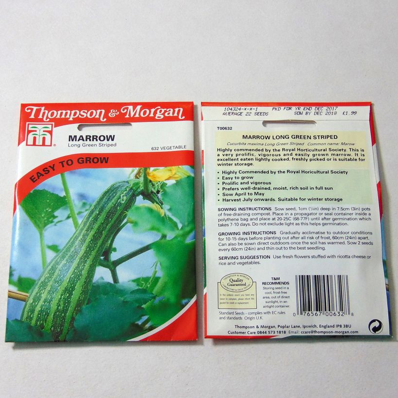 Exemple de spécimen de Courge Long Green Striped  le sachet de 22 graines environ tel que livré