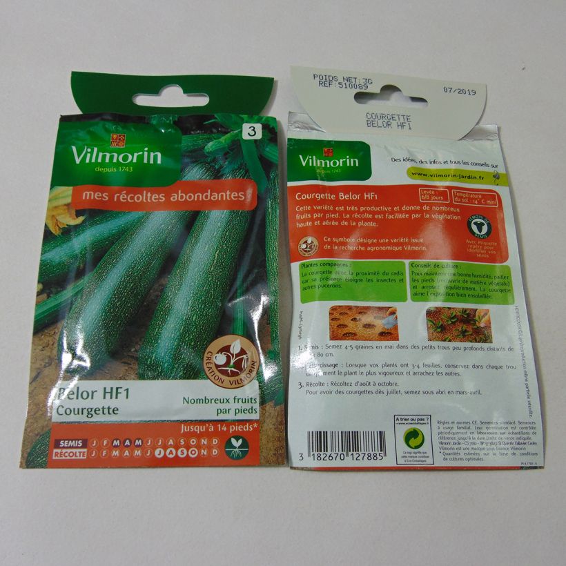 Exemple de spécimen de Courgette Belor F1 (Création Vilmorin) - Vilmorin le sachet de 30 graines environ (3g) tel que livré