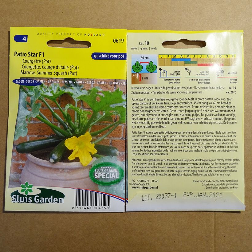 Exemple de spécimen de Courgette Patio Star F1 le sachet de 10 graines environ tel que livré