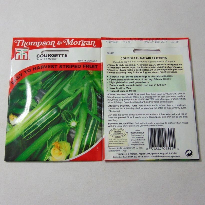 Exemple de spécimen de Courgette Safari F1  le sachet de 8 graines environ tel que livré