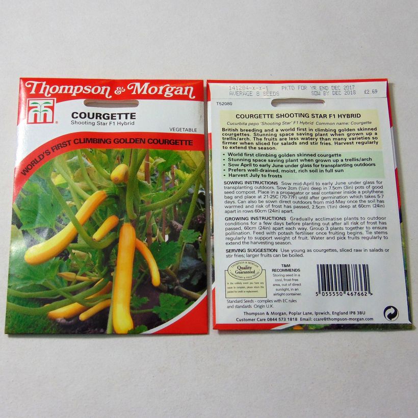 Exemple de spécimen de Courgette Shooting Star F1 le sachet de 8 graines environ tel que livré