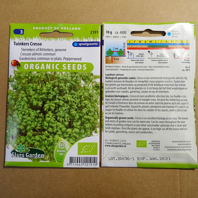 Example of Cresson alénois Bio - Lepidium sativum le sachet de 3650 graines environ (10g) as you get