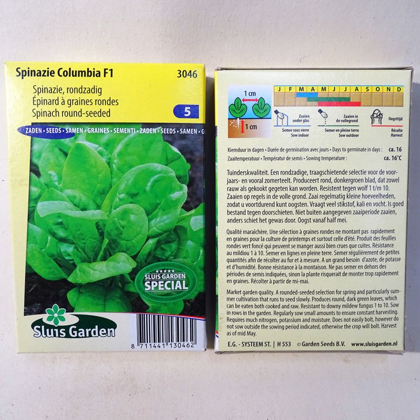 Example of Epinard Columbia F1 - Spinachia oleracea le sachet de 6500 graines environ (65g) as you get