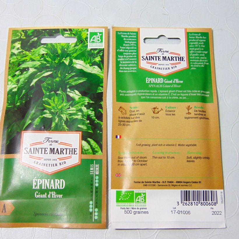 Exemple de spécimen de Epinard Géant d'Hiver Bio - Ferme de Sainte Marthe  le sachet de 450 graines environ (5.7g) tel que livré