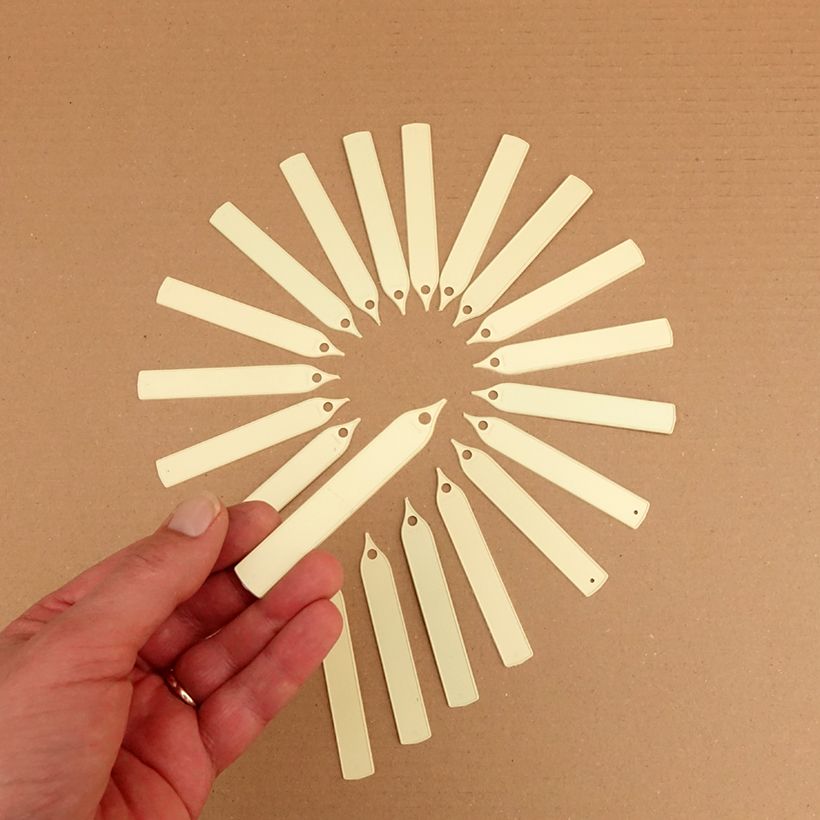 Example of Etiquette étroite à planter ivoire Boîte Dimensions : 10 x 1,5 cm as you get