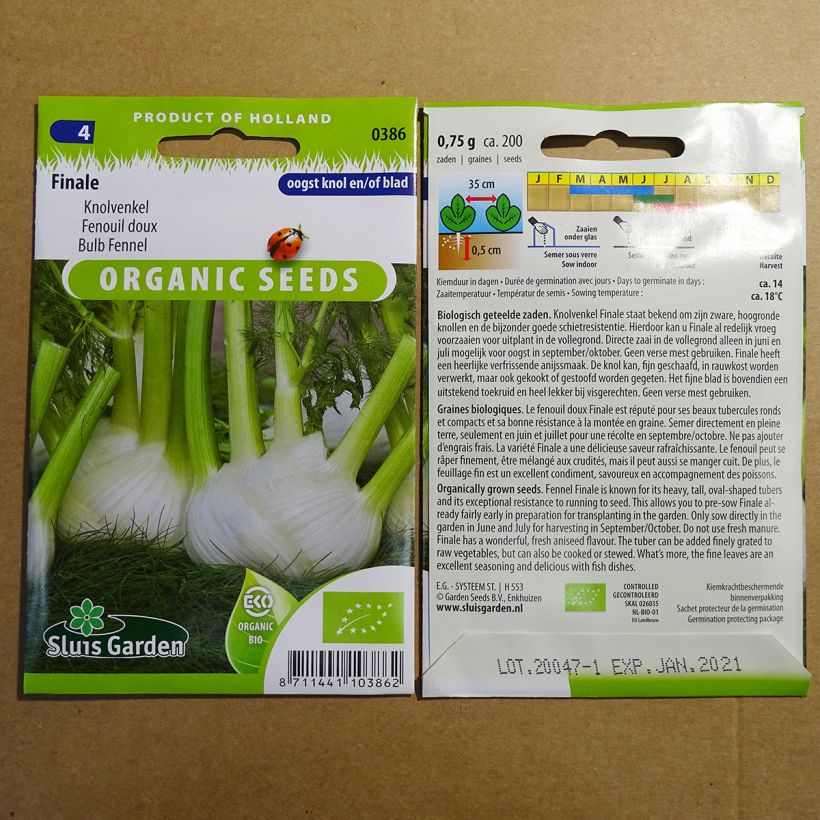 Example of Fenouil doux Finale Bio - Foeniculum dulce le sachet de 250 graines environ (1g) as you get