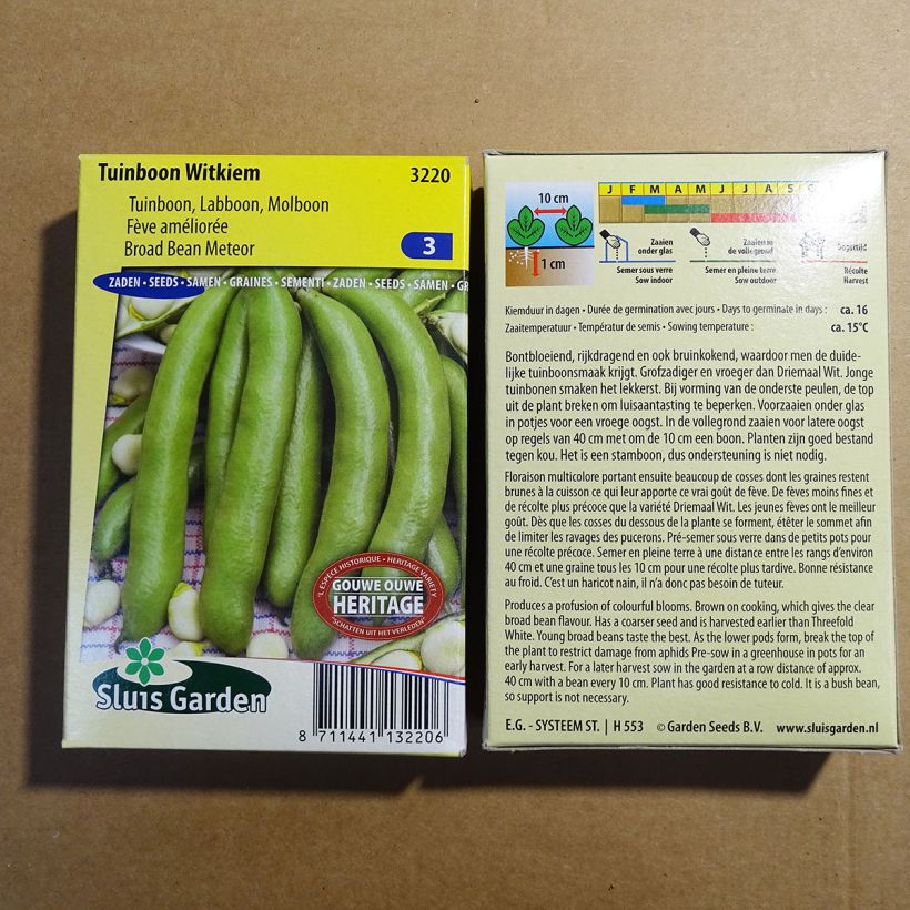 Exemple de spécimen de Fève améliorée Witkiem - Vicia faba le sachet de 42 graines environ (85g) tel que livré