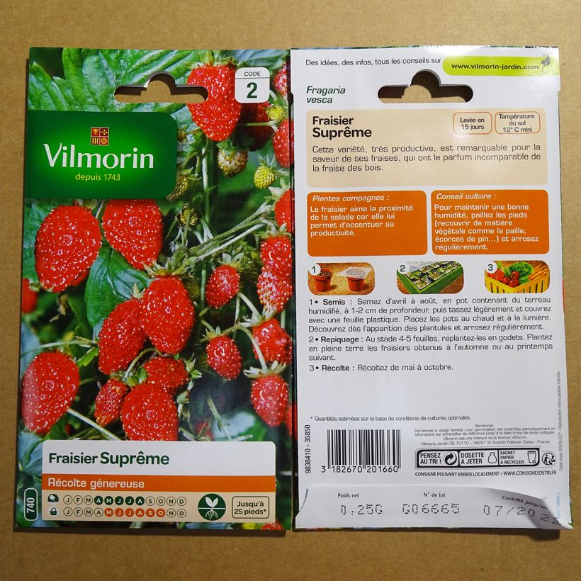 Exemple de spécimen de Fraisier des 4 saisons suprême - Vilmorin le sachet de graines de 0.25 grammes tel que livré