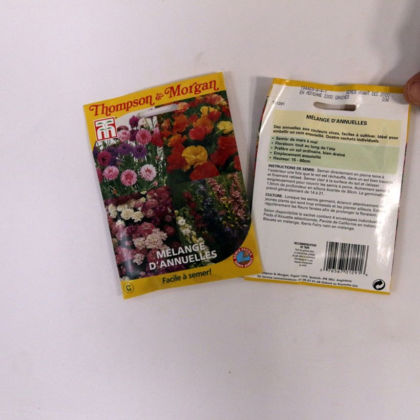 Example of Graines Mélange d'annuelles - Easy Annuals Fairy Mixed le sachet de graines de 2 grammes as you get
