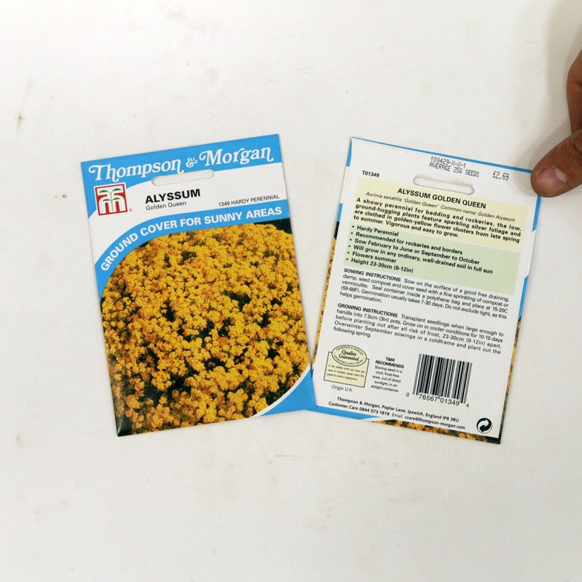 Example of Graines d'Alysse saxatile Golden Queen - Corbeille d'Or le sachet de +/- 450 graines environ (minimum 0,5g) as you get