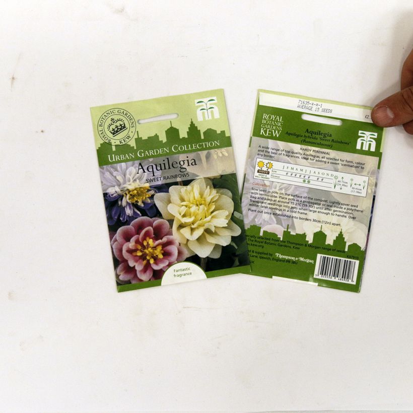 Example of Graines d'Ancolie des jardins Sweet Rainbows - Aquilegia x hybrida le sachet de 20 graines environ as you get