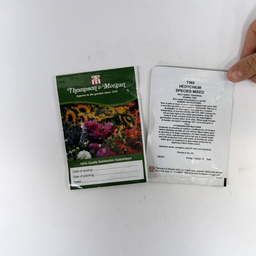 Exemple de spécimen de Graines d'Hedychium Species Mixed - Hedychium gardnerianum le sachet de 10 graines environ tel que livré