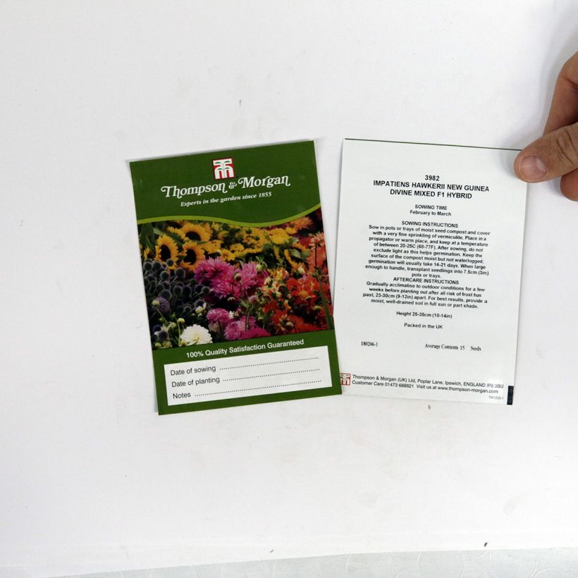 Exemple de spécimen de Graines d’Impatiens de Nouvelle Guinée Divine - Impatiens x hawkeri le sachet de 15 graines environ tel que livré