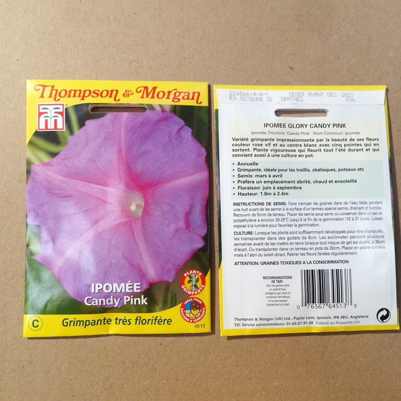 Exemple de spécimen de Graines d'Ipomée Candy Pink - Ipomoea purpurea le sachet de graines de 1.5 grammes tel que livré