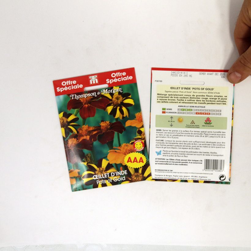 Example of Graines d'Oeillet d'Inde Pots of Gold - Tagetes patula  le sachet de 50 graines environ as you get