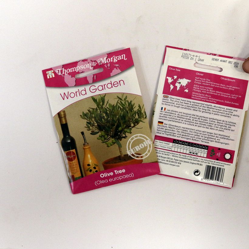 Exemple de spécimen de Graines d'Olivier - Olea europaea le sachet de 25 graines environ tel que livré