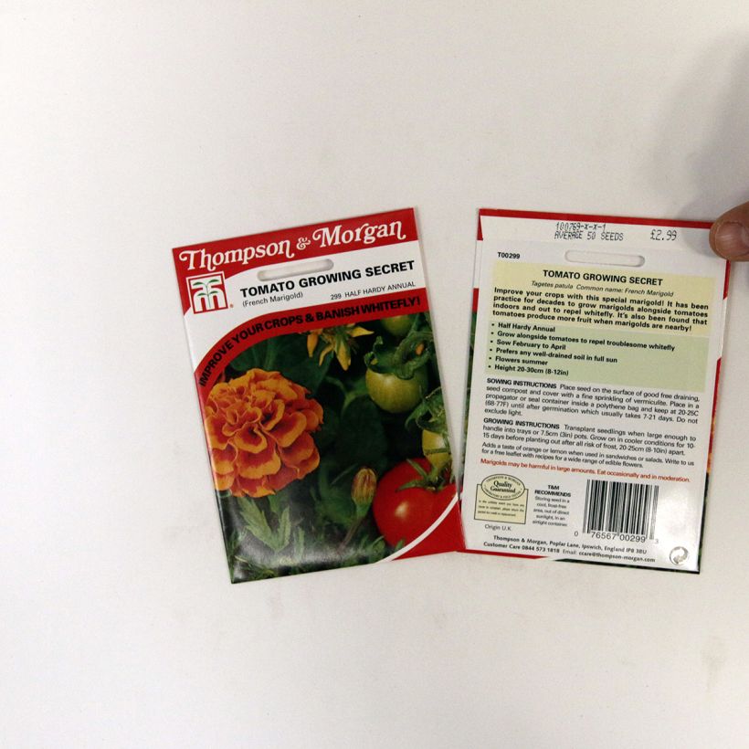 Example of Graines d'Oeillet d’Inde Tomato Growing Secret - Tagetes patula le sachet de 50 graines environ as you get