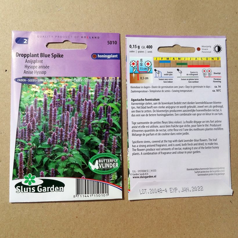 Example of Graines d'Agastache foeniculum Blue Spike - Hysope anisée le sachet de graines de 0.15 grammes as you get