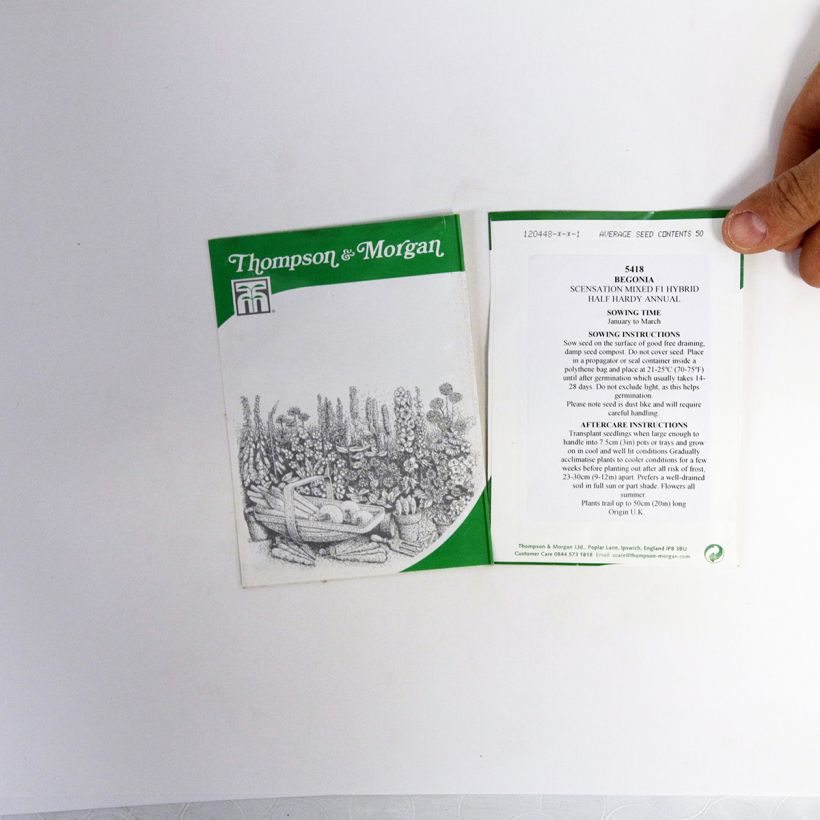 Exemple de spécimen de Graines de Bégonia tubéreux Scentsation Mixed F1 - Begonia x tuberhybrida le sachet de 50 graines environ tel que livré