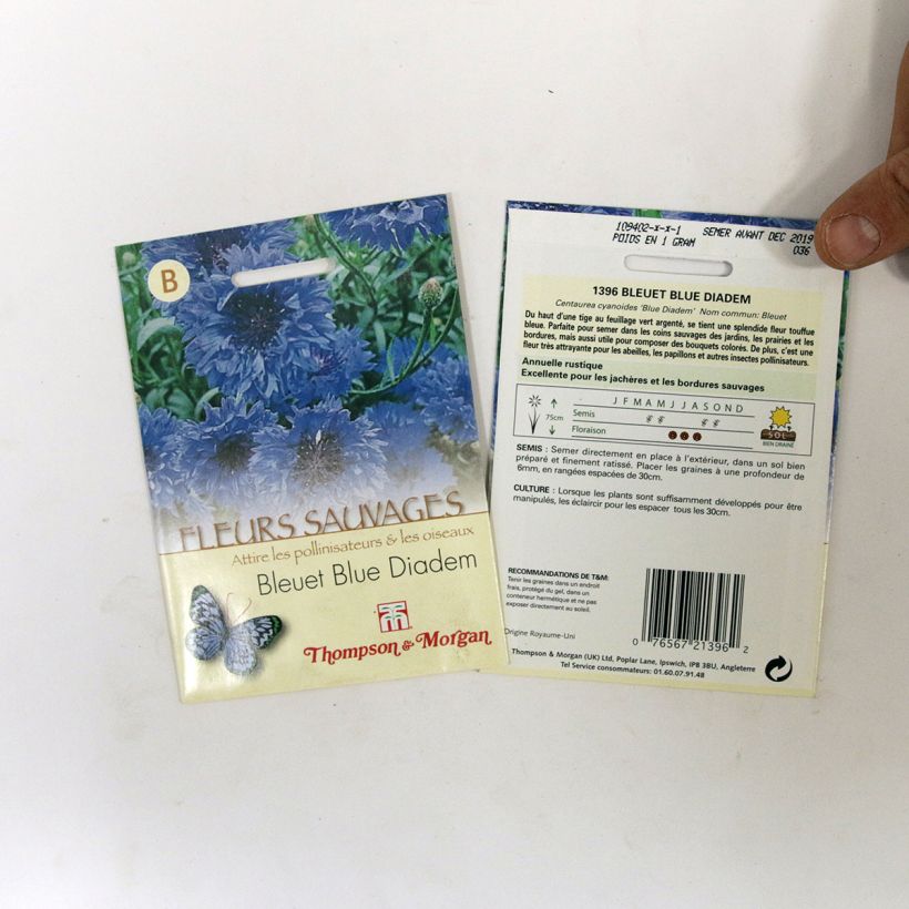 Example of Graines de Centaurée bleuet Blue Diadem - Centaurea cyanus le sachet de 200 graines environ as you get