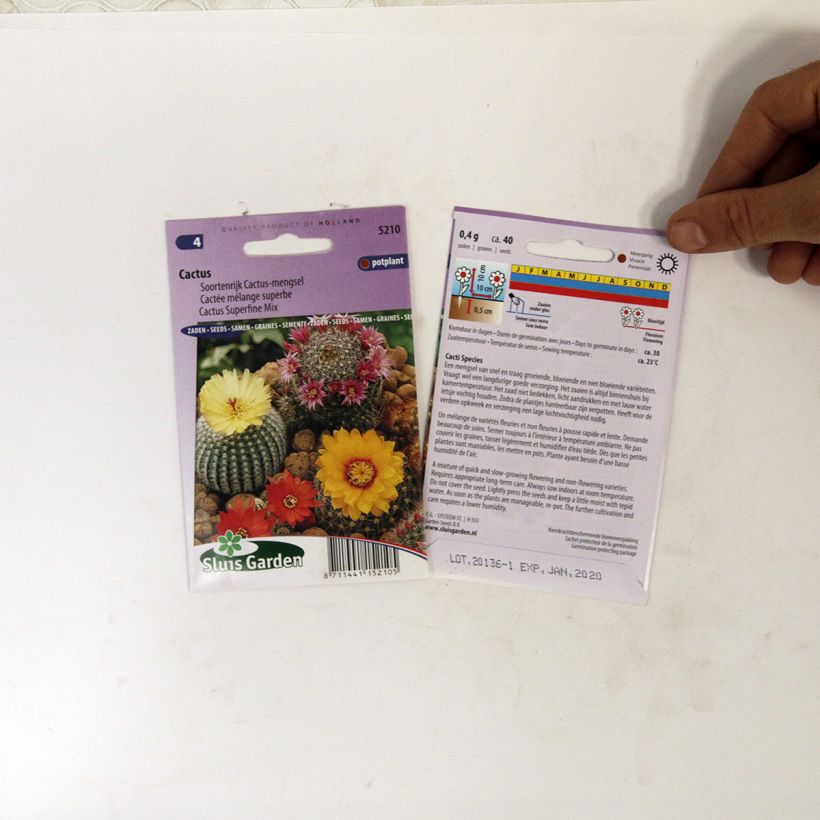 Example of Graines de Cactées en mélange le sachet de +/- 150 graines environ (minimum 0,1g) as you get