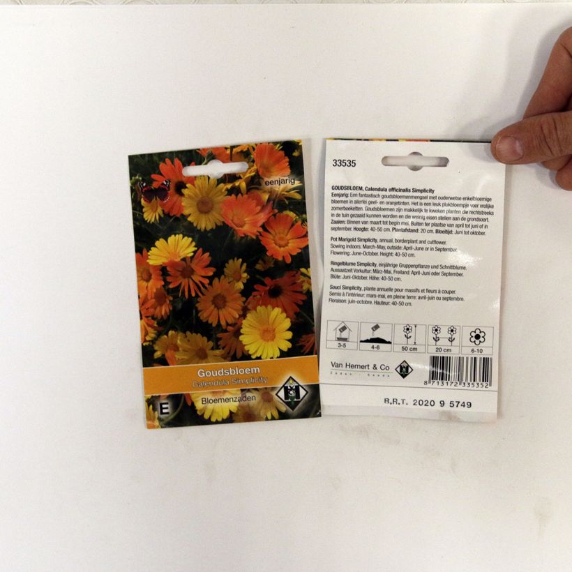 Exemple de spécimen de Graines de Calendula officinalis Simplicity - Souci des Jardins le sachet de +/- 150 graines environ (minimum 1g) tel que livré