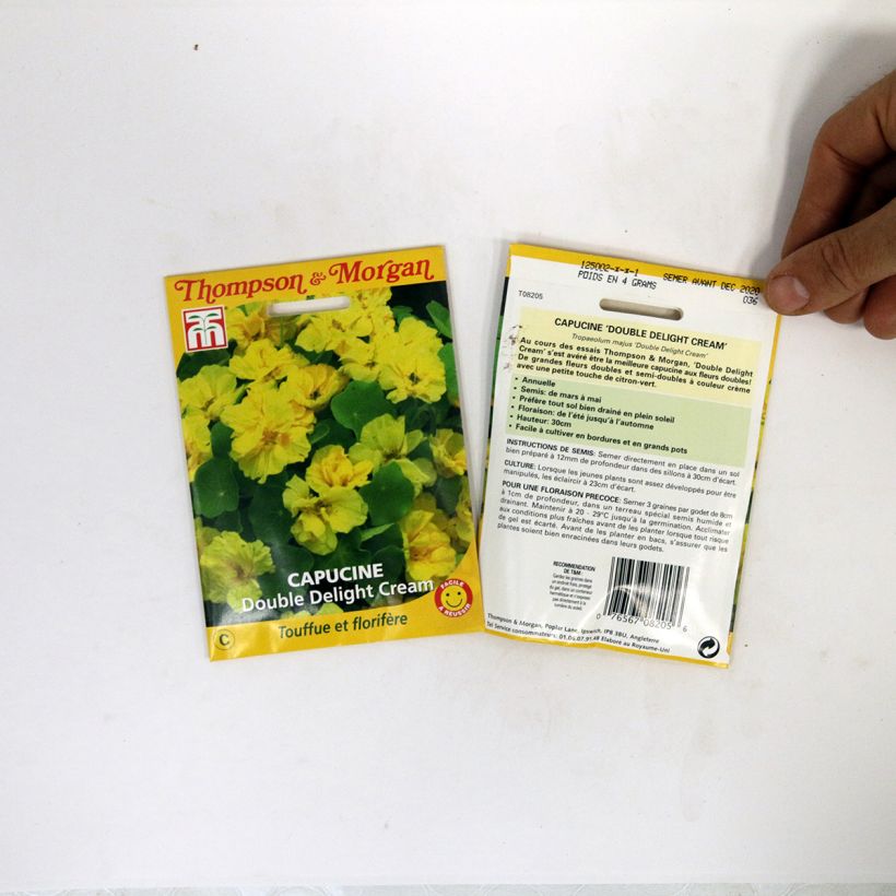 Exemple de spécimen de Graines de Capucine naine Double Delight Cream - Tropaeolum majus le sachet de 3 graines environ tel que livré