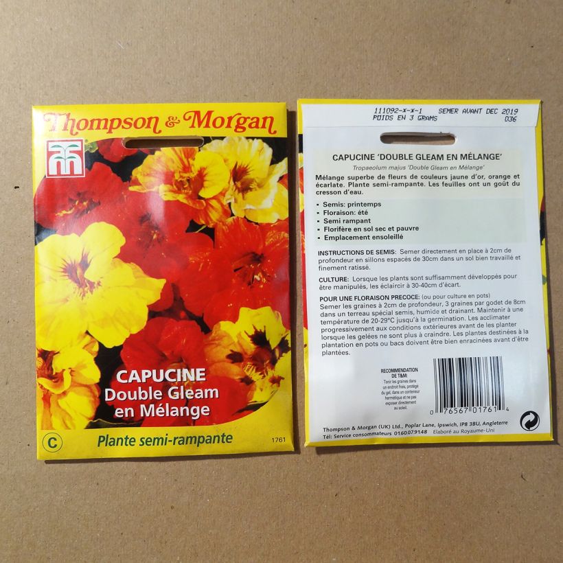 Example of Graines de Capucine naine Double Gleam en mélange - Tropaeolum majus le sachet de 30 graines environ as you get