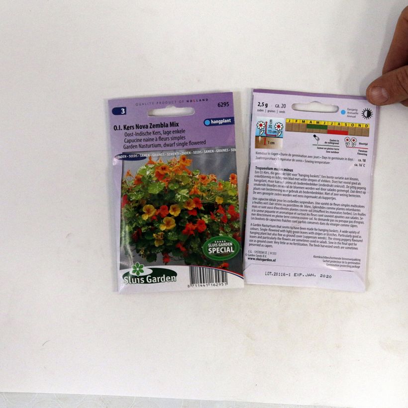 Example of Graines de Capucine naine Nova Zembla - Tropaeolum majus le sachet de 20 graines environ as you get