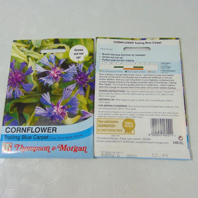 Example of Graines de Centaurée cyanoides Trailing Blue Carpet le sachet de 30 graines environ as you get