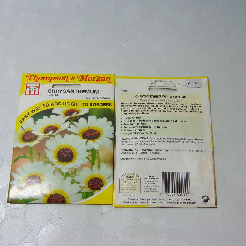 Example of Graines de Chrysanthème à carène Polar Star - Chrysanthemum carinatum le sachet de +/- 300 graines environ (minimum 1g) as you get