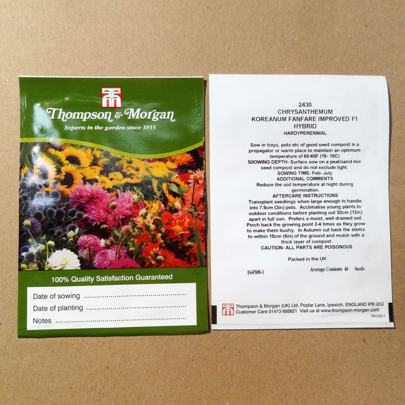 Example of Graines de Chrysanthème des fleuristes Fanfare Improved F1  le sachet de +/- 200 graines environ (minimum 0,1g) as you get